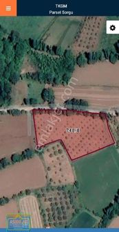 Gümüşhacıköy Gümüş Te Satılık Cevizlik. Asemlak Satıyor