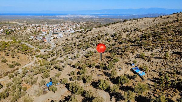 Gömeç Ulubeyler'de Deniz Manzaralı Yola Yakın Safılık Zeytinlik