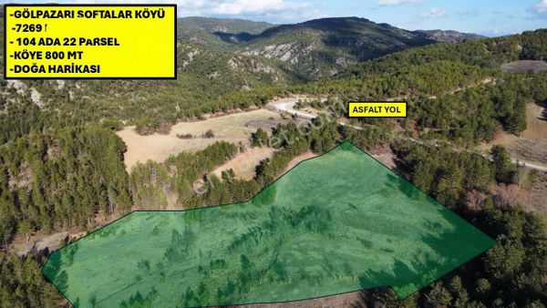 Bilecik Gölpazarı Softalar Köyü 7.969m2 Satılık Emsalsiz Orman Manzaralı Köye 800m Tarla