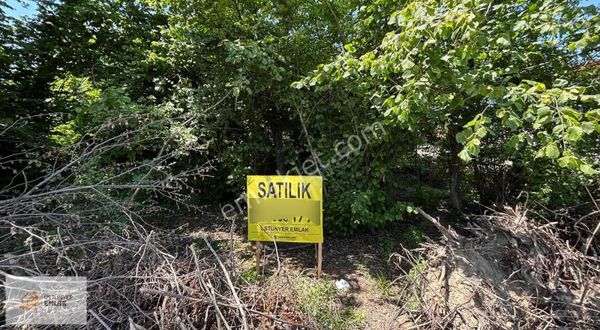 Bartın Kozcağız'da Sanayi İmarlı Satılık 1.375 M2 Arsa