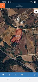 İznik Güven Emlaktan Satılık Hurma Bahçesi.