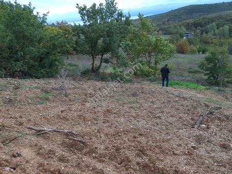 İznik Güven Emlaktan Satılık Hurma Bahçesi.