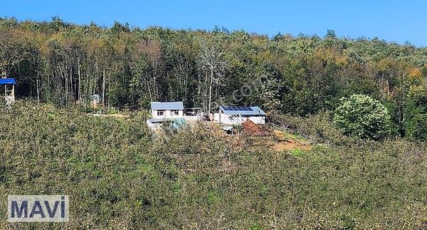 Remax Mavi Cengiz Özdemir'den 4.394,7 M² Satılık Tarla