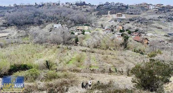 Şilede Satılık 1030m2 Tarla Denize Ve Yerleşime Yakın