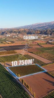 Caferbey De Satilik Bağ