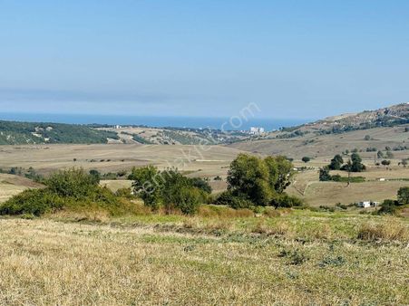 Sarayköy'de Acil Satılık Deniz Mnazaralı 4240 M2 Tarla