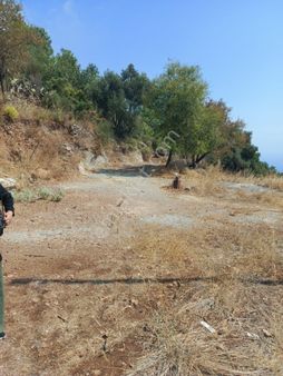 Satılık 265m2 Tarla Gazipaşa