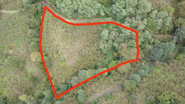 Bulak'ta 5 Dönüm Kupon Arazi