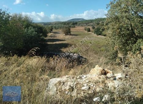 Milas Ören Yolu Üzeri 4.500m2 Tarla