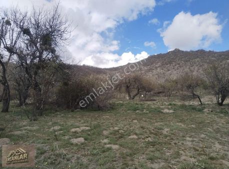 Meram Yeşil Tekke Sulu 631 M' Müstakil Tapu Tarla