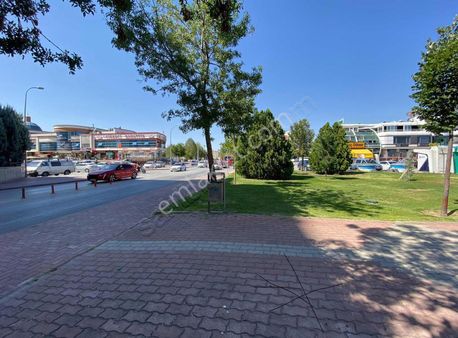 -_şeyh Şamil Mah Selçuklu Bel Yani Bakımlı 2+1 Geniş Daire-_