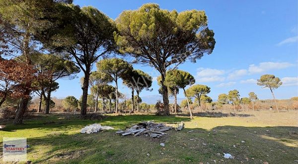 Kozak Yukarıbey'de Ayvalık Asfaltı Cepheli 10.600 M² Arazi