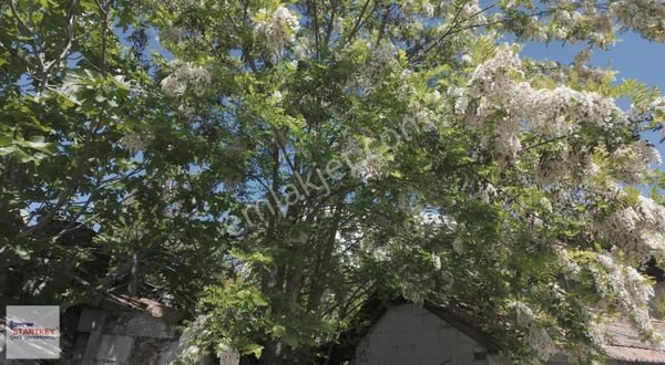 Kozak Yaylası Satılık Köy Evi(ayvatlar Köyü)