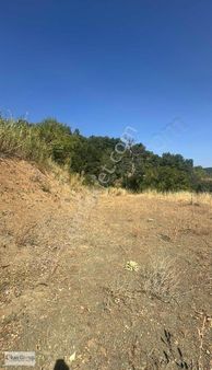 Okan Group'tan Osmangazi Bağlı Mah. 938m² Tarla | Acil | !