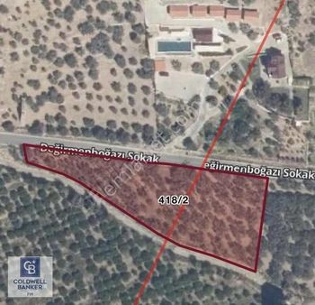 İzmir Selçuk Şirince'de Yola Cepheli 4310 M2 Satılık Cb Ph