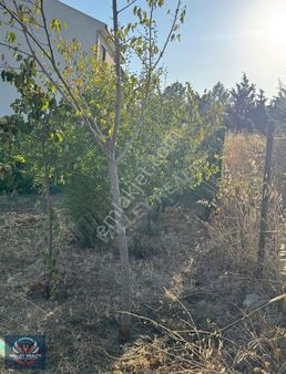 Sahile Komşu 165 M² Villa İmarlı Arsa Tekirdağ Süleymanpaşa