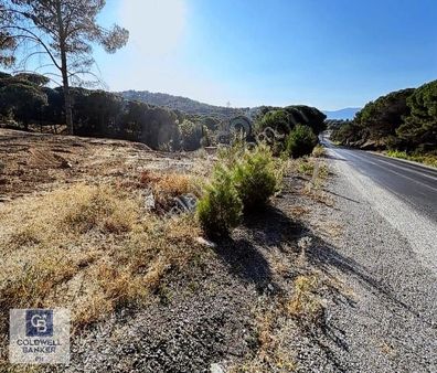 İzmir Bergama Kozak Yukarıbey 6474m2 Satılık Fırsat Arazi Cb Ph