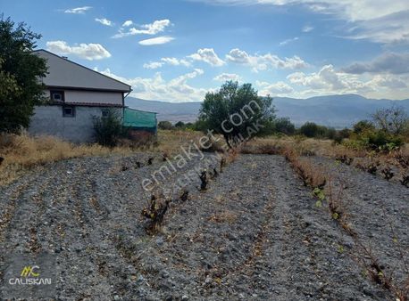 Emirseyit Kasabası Satılık Tarla 1665 M2 Tek Tapu- Yolu Açık