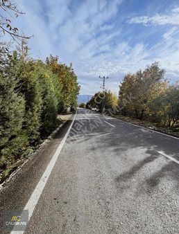 Büyükyıldız Satılık 2.750 M2 Satılık Bağ