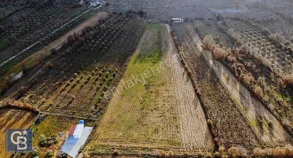 Yerkesik Mah Yatırımlık Tarla