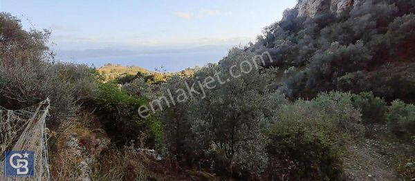 Kıran Sahili Deniz Manzaralı Yatırımlık Satılık Tarla