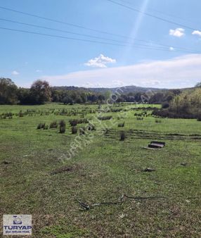 Şile Teke Köyünde Doğayla İç İçe Huzurlu Bir Yaşam Alanı