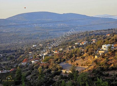 Milas Balcılarda Satılık Fırsat Yol Cepheli Tarla Müstakil Tapu