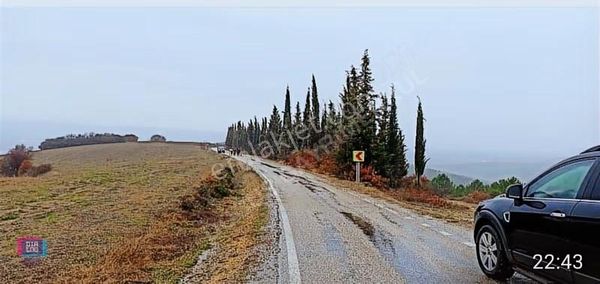 Dialog Doğuş Yenişehir Dereköy De Yola Cephe Yatırımlık Arazi