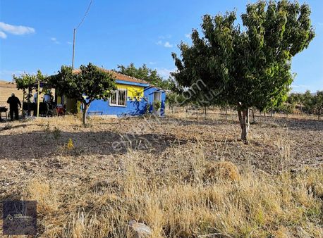 Nevşehir Avanos Göynükte 11.729m² Satılık Bakımlı Evli Bağ