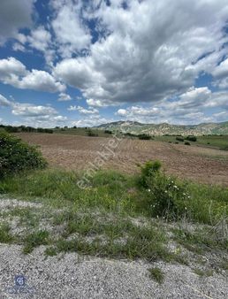 Fırsat!! Tek Tapu, Asfalt Yol Cepheli, Bahçe İçin Uygun Tarla!!