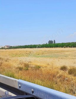 Afyonkarahisar Çayda Satılık Ticari İmarlı Kiraz Bahçesi