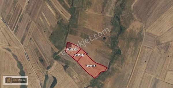 Tekirdağ Malkara Kozyörükte 3 Adet Toplam 12380 M2 Tarla