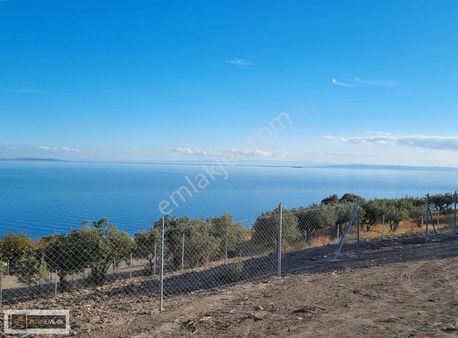 Tekirdağ Şarköy Hoşköy'de 329 M2 Müstakil Arsa