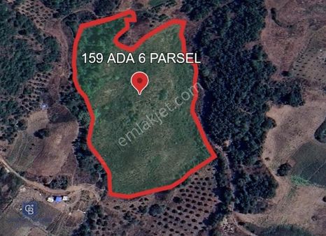 Yayladağı-kurtuluş Mah'de 21.091m2 Müstakil Tapulu Satılık Tarla