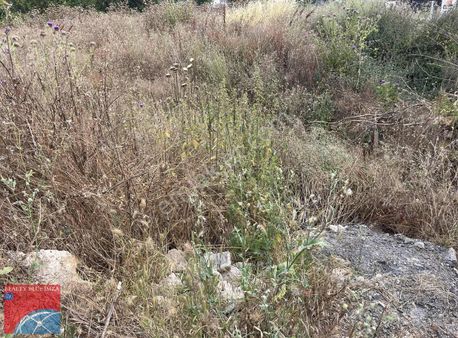 Sancaktepe Atatürk Caddesinde 2000m2 Kiralık Arsa