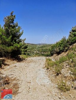 Sahibinden Villa İmarlı 847m Yolu Var...takas Olur