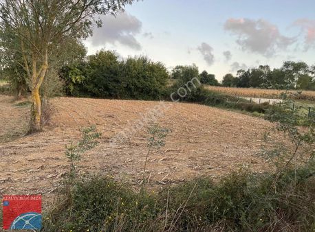 Kandıra Lokmanlıda Köy İçinde Yola Cephe Satılık Tarla
