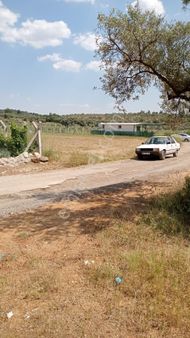 Seçkin'den Torbalı Ormanköy'de Tarla