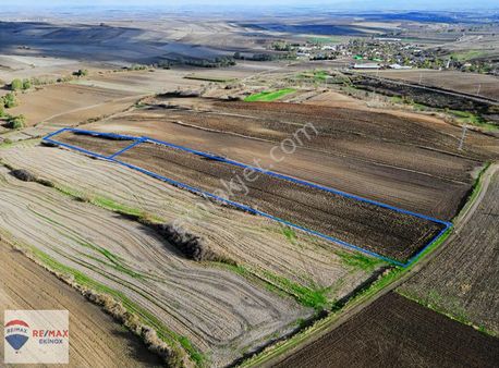 Tekirdağ Hayrabolu Hasköy'de 14 Dönüm Köye Yakın Müstakil Tarla