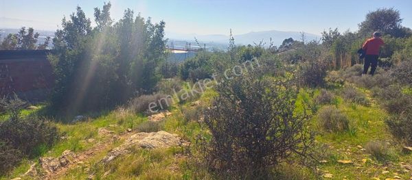 Torbalı Emlak'tan Kuşçuburun Mah. 388m2 Kout İmarlı 388m2 Arsamız Satılıktır