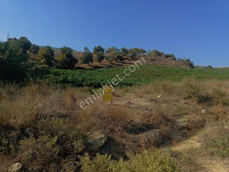 3ev Emlak'tan Kabasakal Rüzgarlıtepe'de Hisseli Arsa