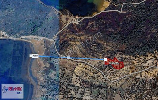 Cunda Namık Kemalde Deniz Manzaralı Satılık Zeytinlik