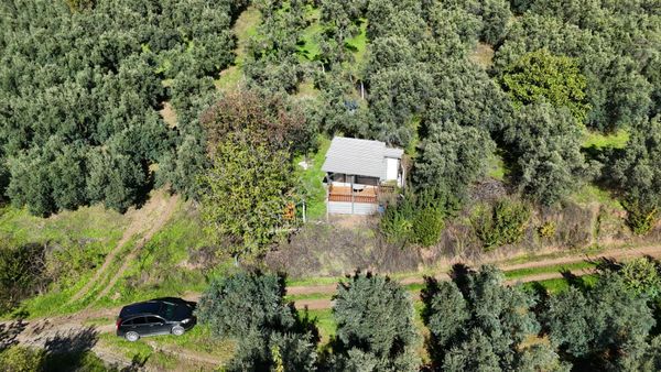 Mudanya Mirzaoba Köy İçi Yerleşim Alanında 277 M² Hobi Bahçesi