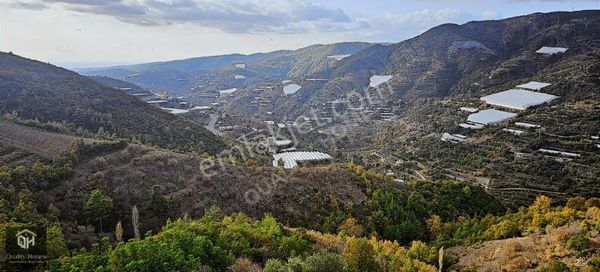 Alanya Burçlar'da Satılık 23dönüm Deniz Manzaralı Tarla
