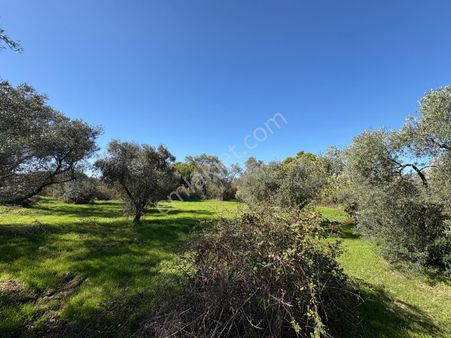 Turpa'dan Fırsat Urla Kekliktepede Egeyapı Villalarına Komşu ***