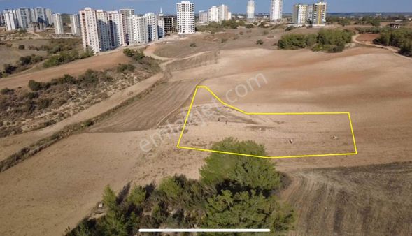 Zorlu'dan Dağcı Mah. Düşük Bütçelere Uygun Satılık Hisse Arsalar