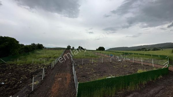 Anayola Yakın Elektrik-su-yolu Düzgün-tel Örgülü 300m2 Bahçe