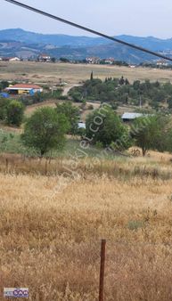 Balıkesir Sındırgı'da 2.965 M2 Otoyol Yanı Dümdüz Fırsat Arazi