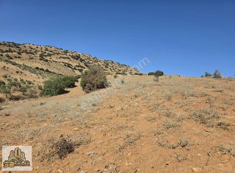 Sb Emlak Ofisinden Çamlıca Mah. Yatırımlık Fırsat Tarla