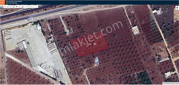 Hadi Gayrimenkul Ve Haritadan Vahitler Tır Garajı Yanında Satılık Fıstık Bahçesi